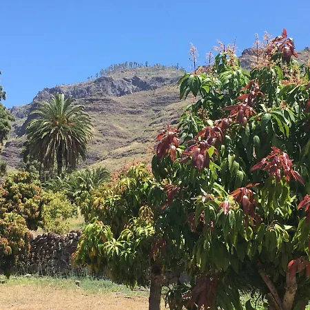 فيلة La Mogán